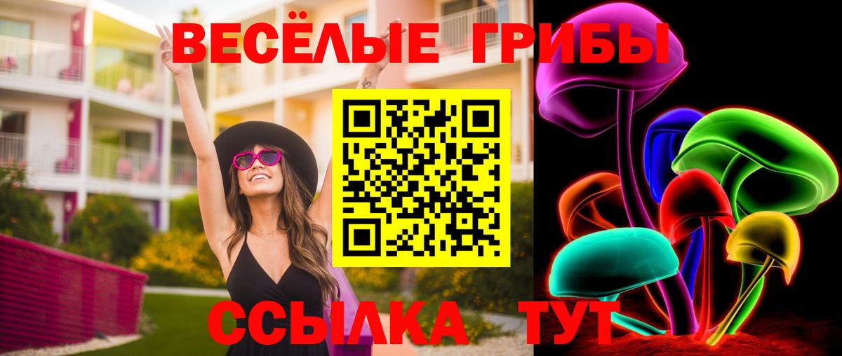 Псилоцибиновые грибы Psilocybine cubensis  Вход с VPN  Йошкар-Ола 